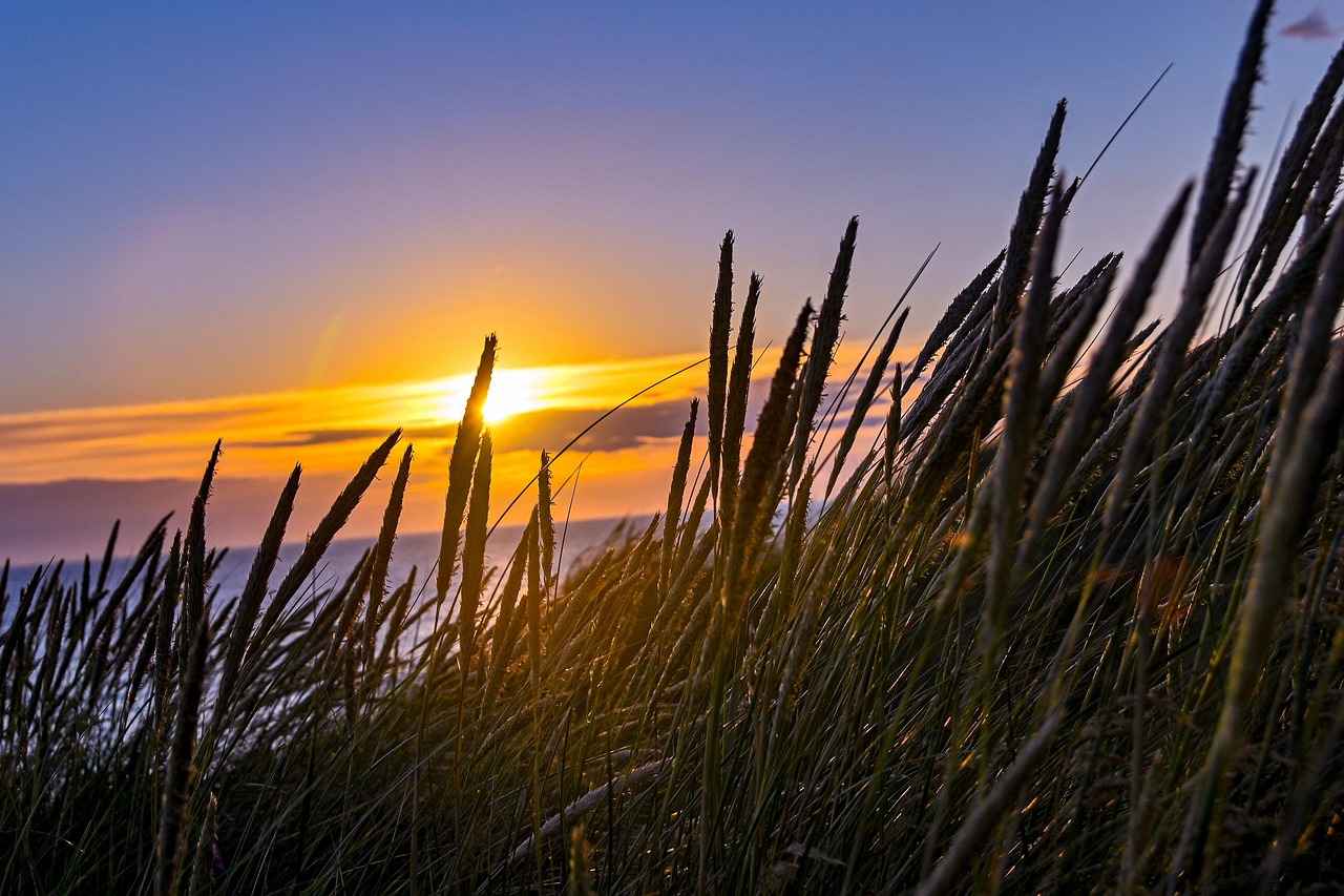Renk Seçiminde Dikkat Edilmesi Gerekenler