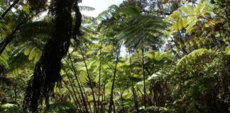 Pullu Abiye Elbiseler: Fazla Gösterişli mi? Pullu Abiye Elbiseler: Fazla Gösterişli mi?