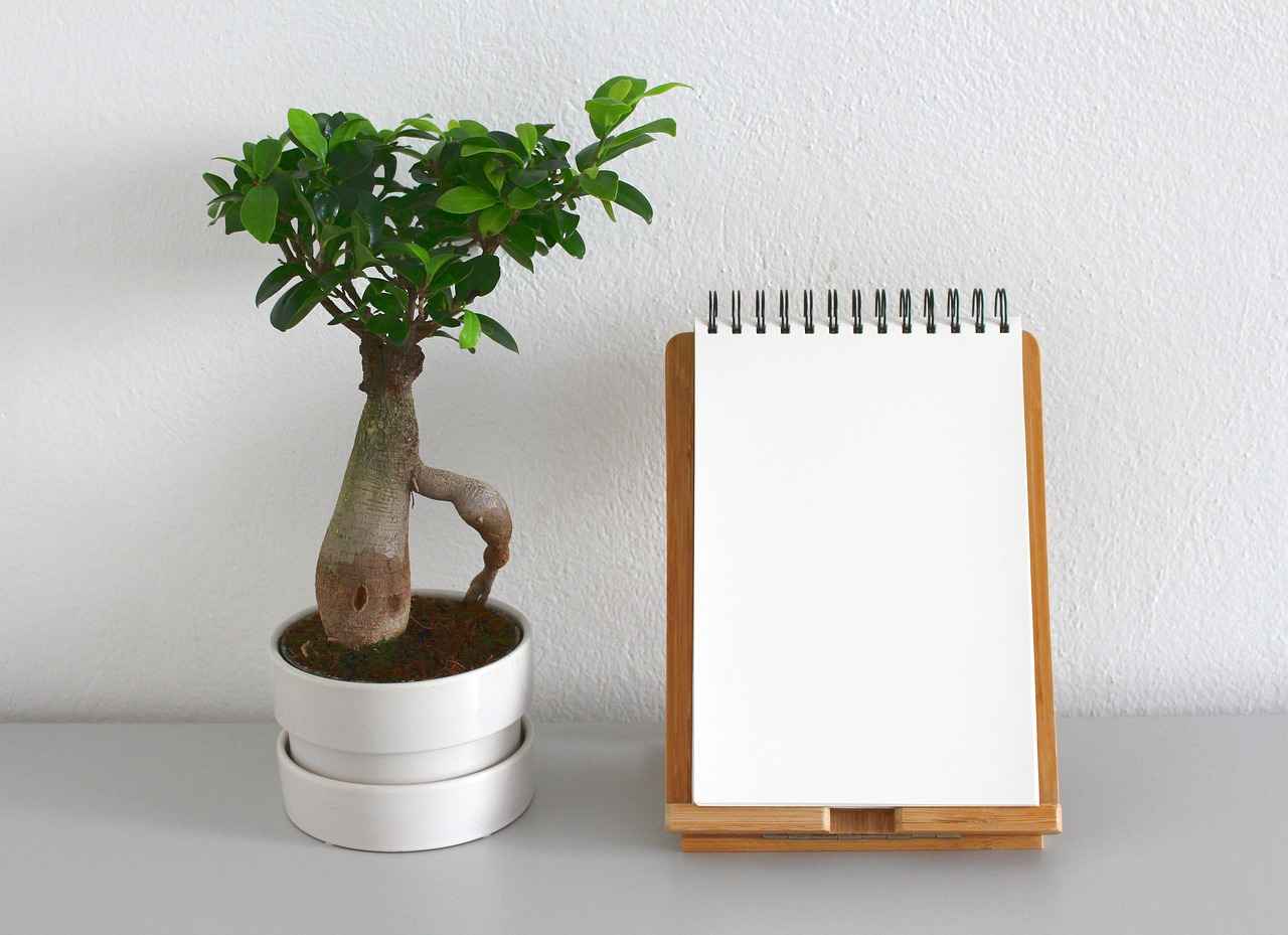 Minimalist Abiye Neden Tercih Edilmeli?