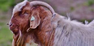 Yaz Düğünlerinde Hangi Abiye Modelleri Daha Uygun? Yaz Düğünlerinde Hangi Abiye Modelleri Daha Uygun?