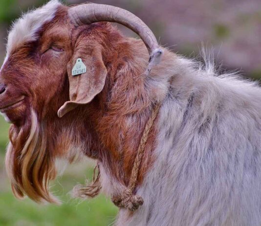 Yaz Düğünlerinde Hangi Abiye Modelleri Daha Uygun? Yaz Düğünlerinde Hangi Abiye Modelleri Daha Uygun?
