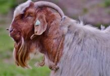 Yılbaşı Gecesi İçin En Trend Abiye Elbiseler Yılbaşı Gecesi İçin En Trend Abiye Elbiseler