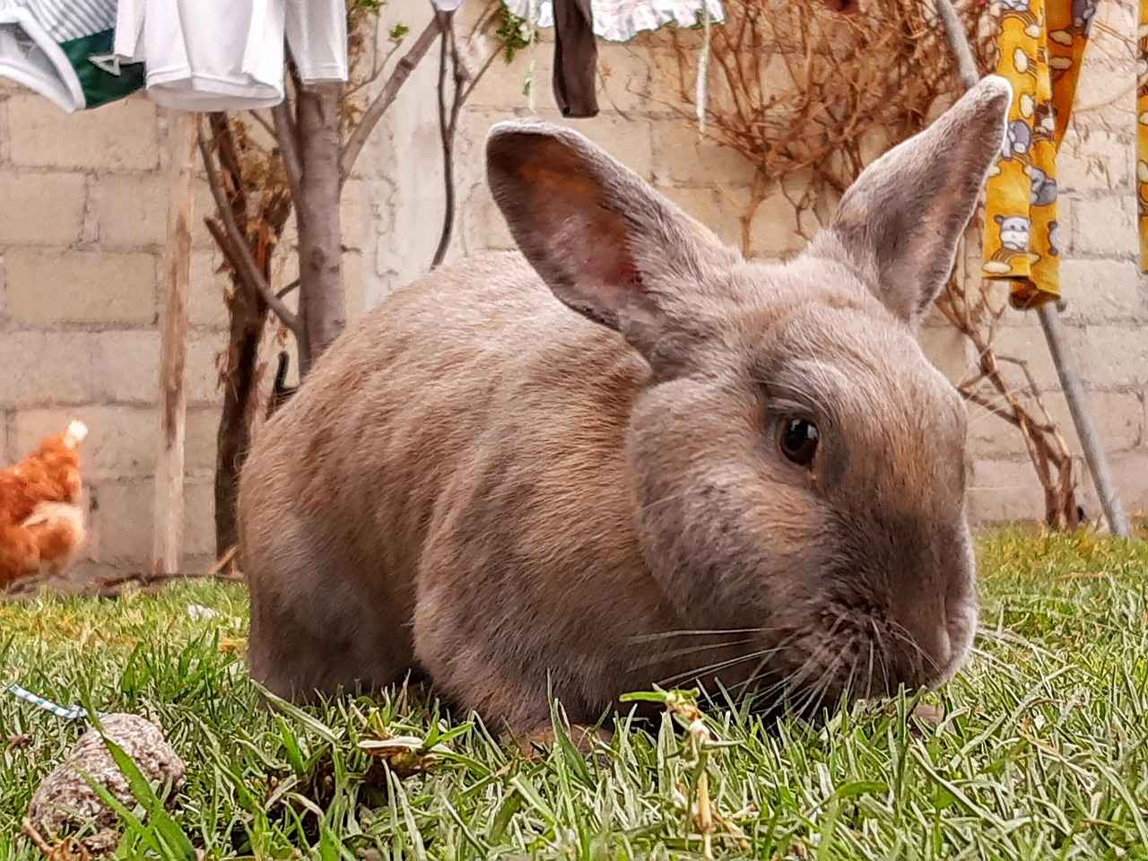 Gri Abiye ile Hangi Çantalar Kullanılmalı?