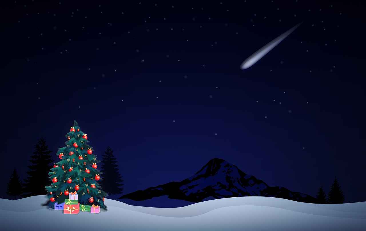 Kesim ve Model Seçenekleri