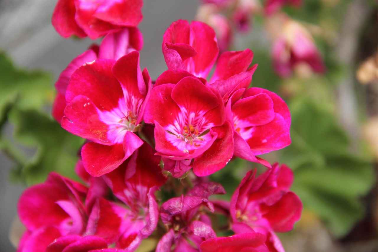 Kırmızı Abiye ile Kombin Önerileri