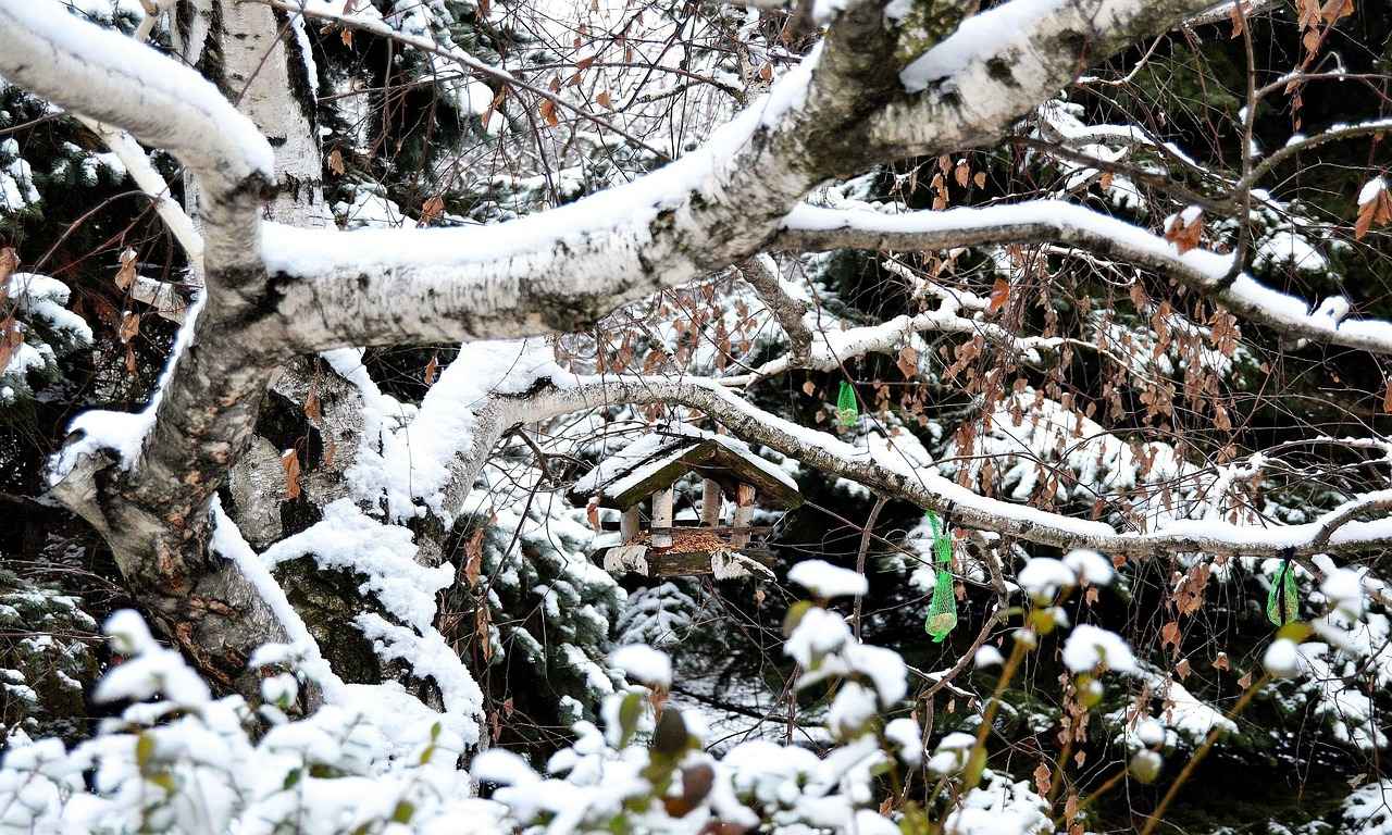 Açık Hava Davetlerinde Tercih Edilecek Hafif Abiye Modelleri