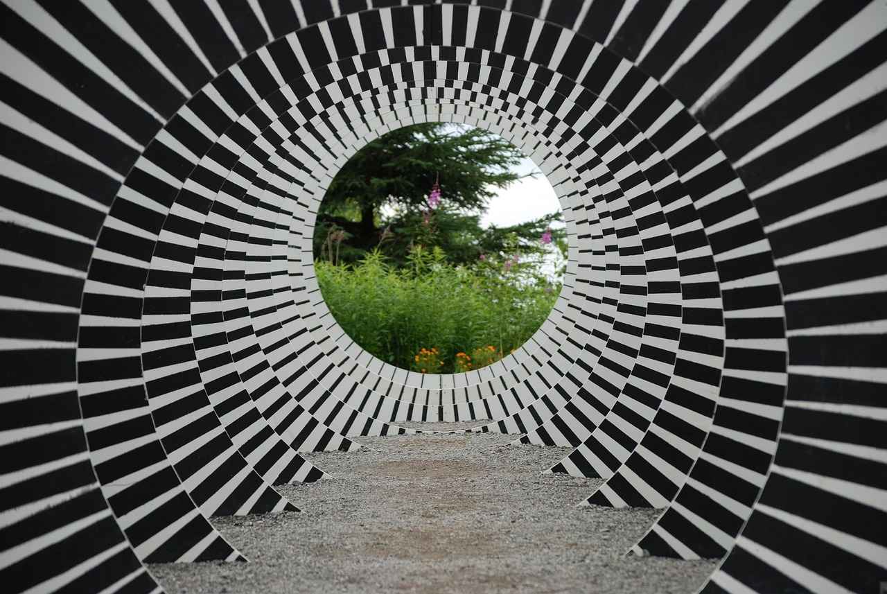 İspanyol Kollu Abiyelerin Özellikleri