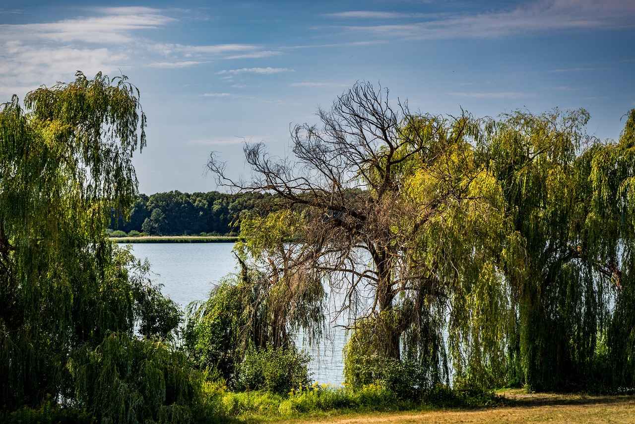 Mevsime Uygun Kumaşlar