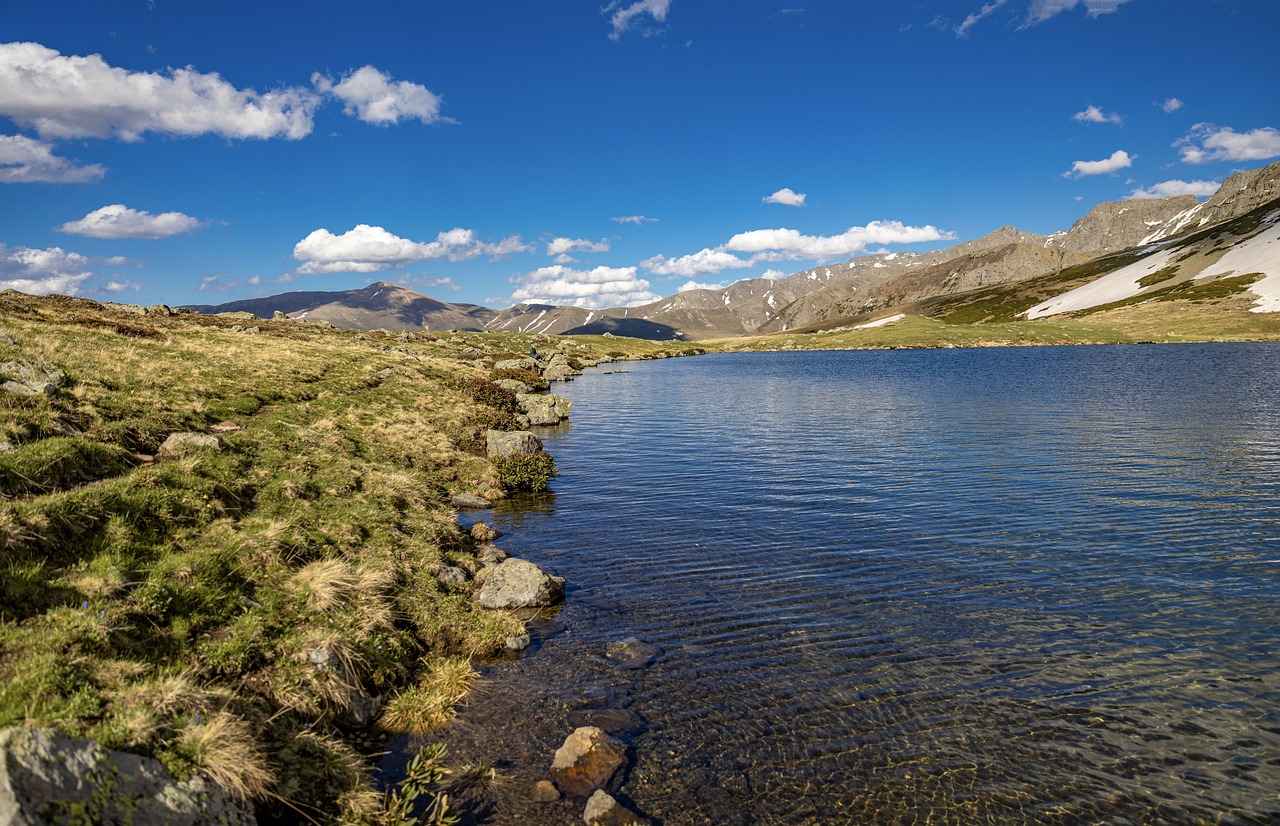 Renk Seçimi ve Desenler