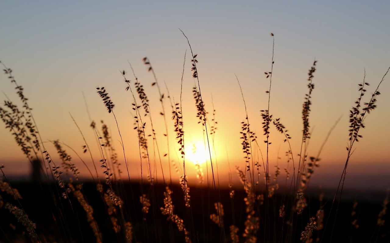 Pastel Abiye Modellerinde Kumaş Seçimi