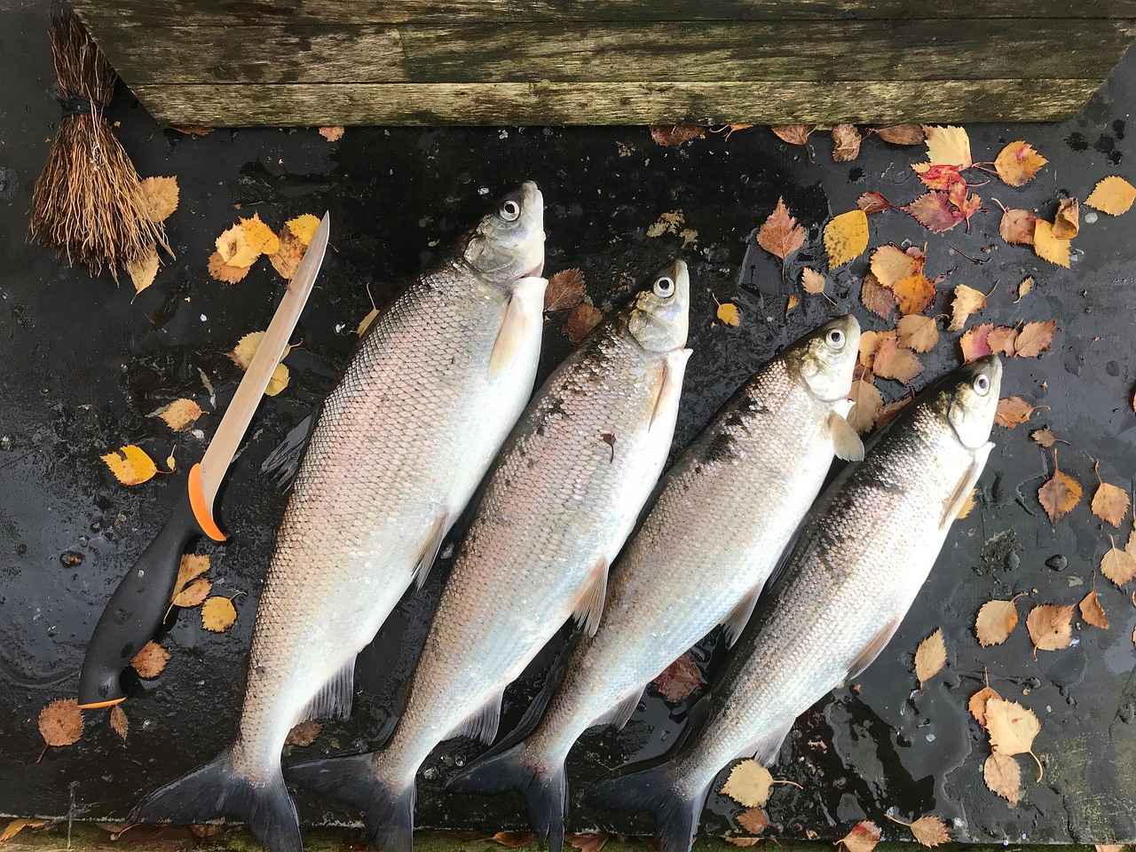 Özel Günlerde Saten Abiye Elbise Tercihleri