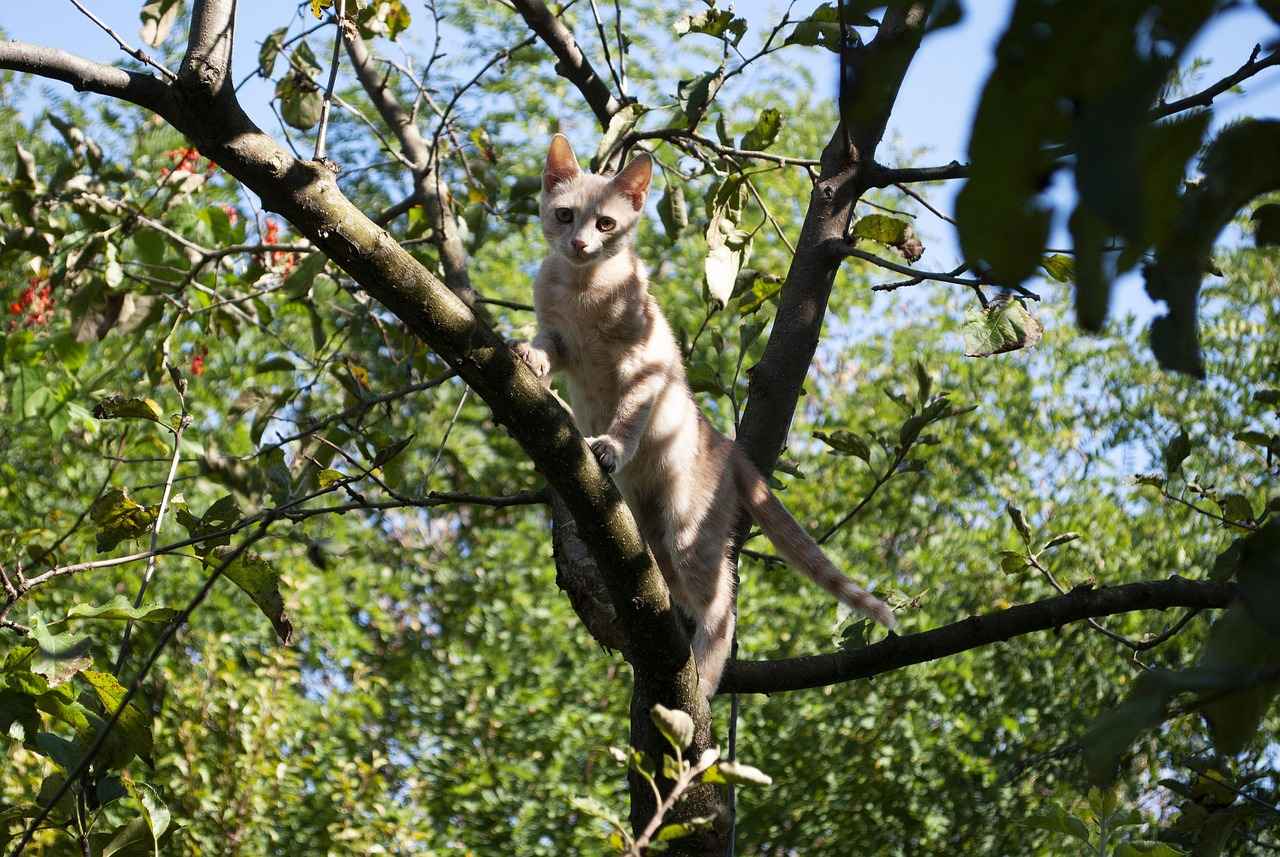 Uzun Kollu Abiye Modelleri ile Kış Davetlerinde Şıklık