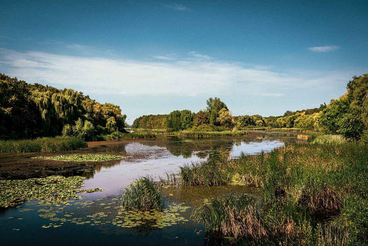 Uzun Kollu Abiye Modellerinde Dantel Detayları