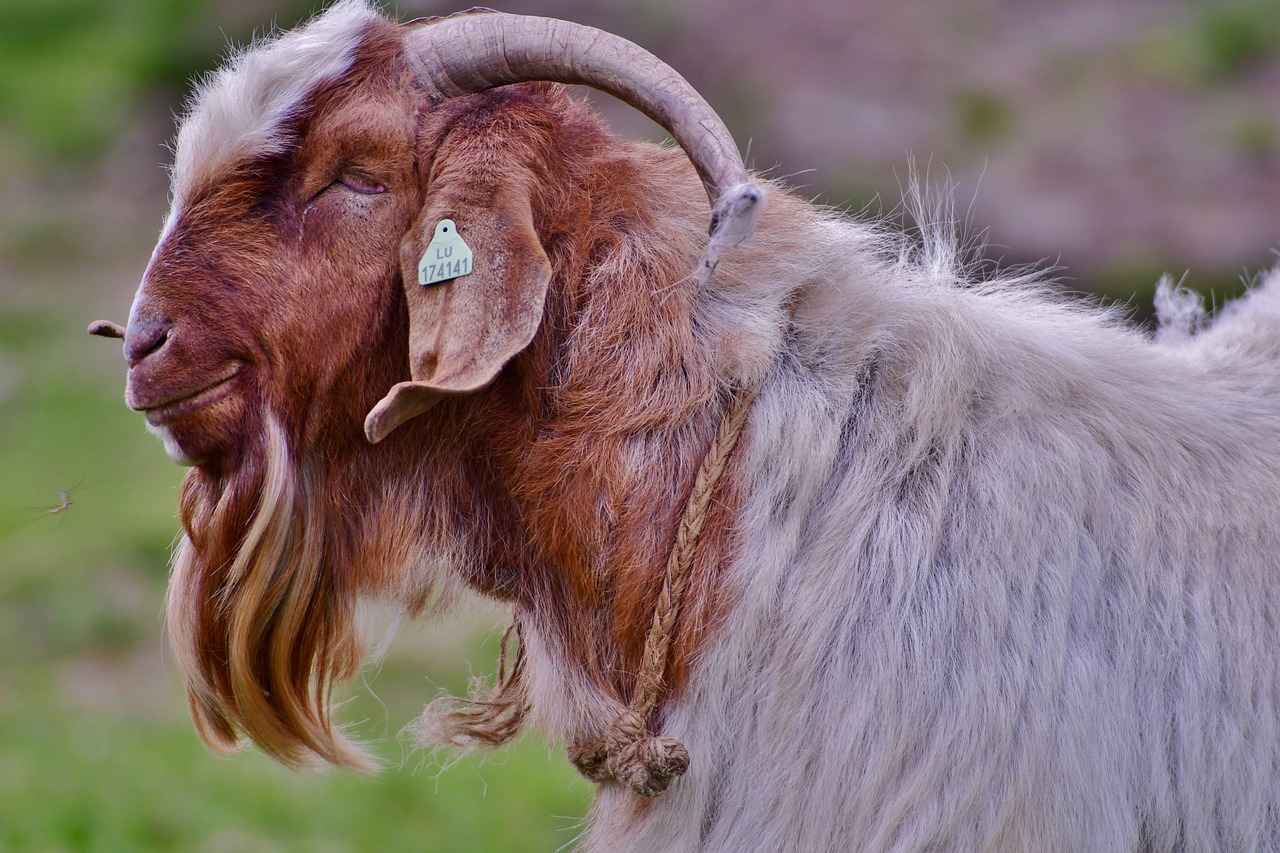 Yaz Düğünlerinde Hangi Abiye Modelleri Daha Uygun?