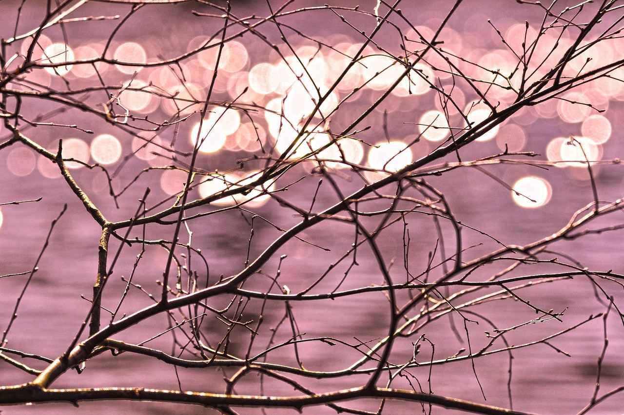 Yaz Düğünleri İçin Renk Seçimi